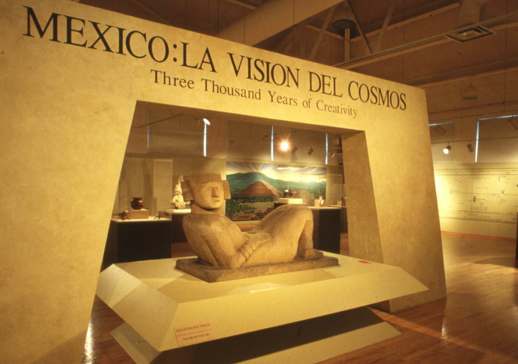 La Vision del Cosmos