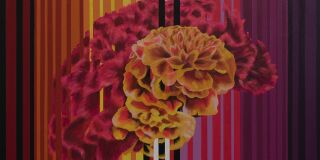 Photo of painting by Marilu Alvarez called Disemia