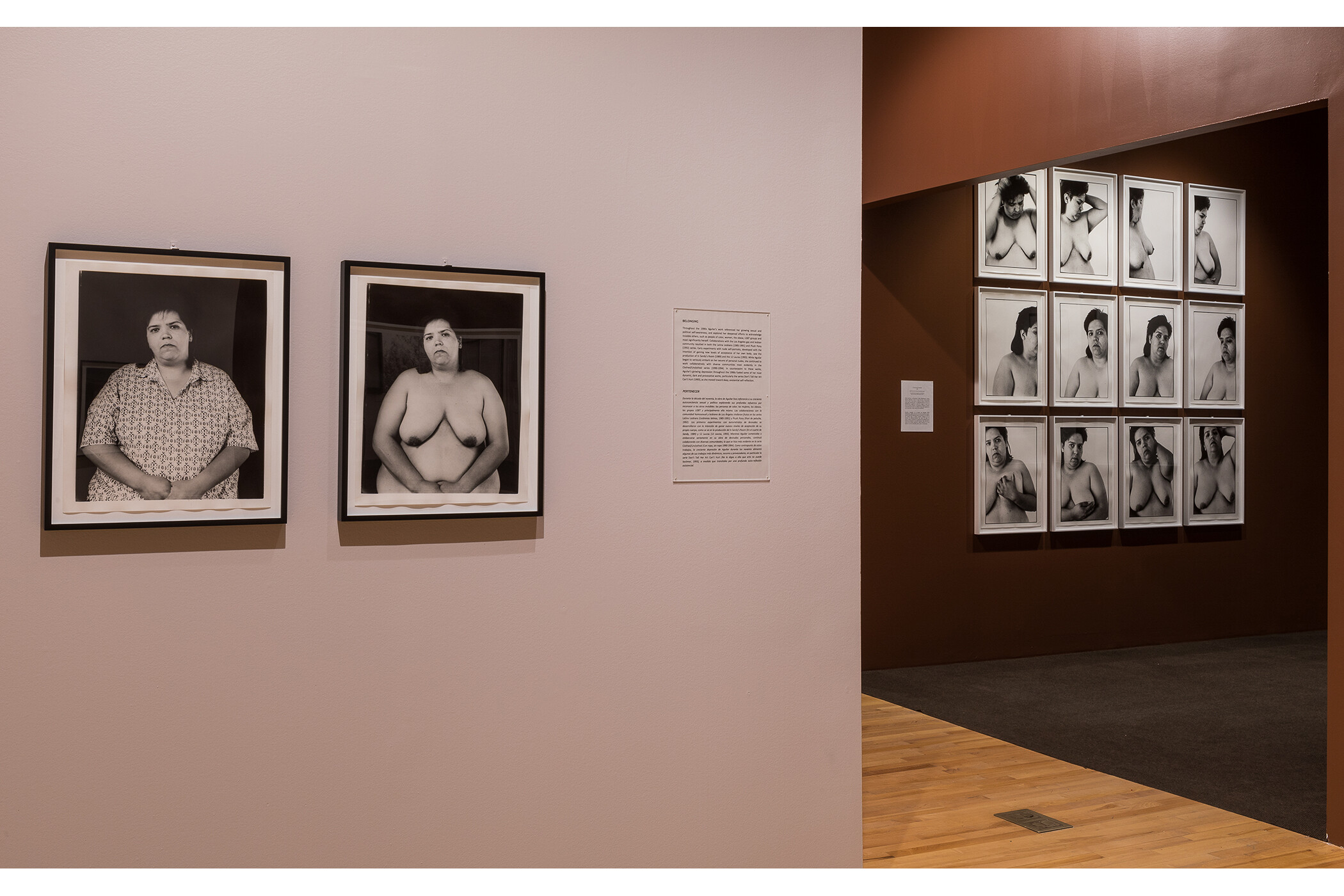 Photo of multiple gallery walls