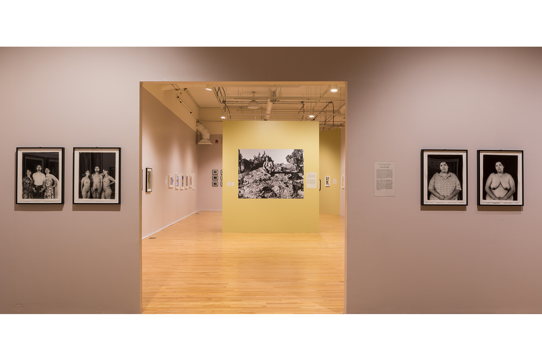 Photo of multiple gallery walls