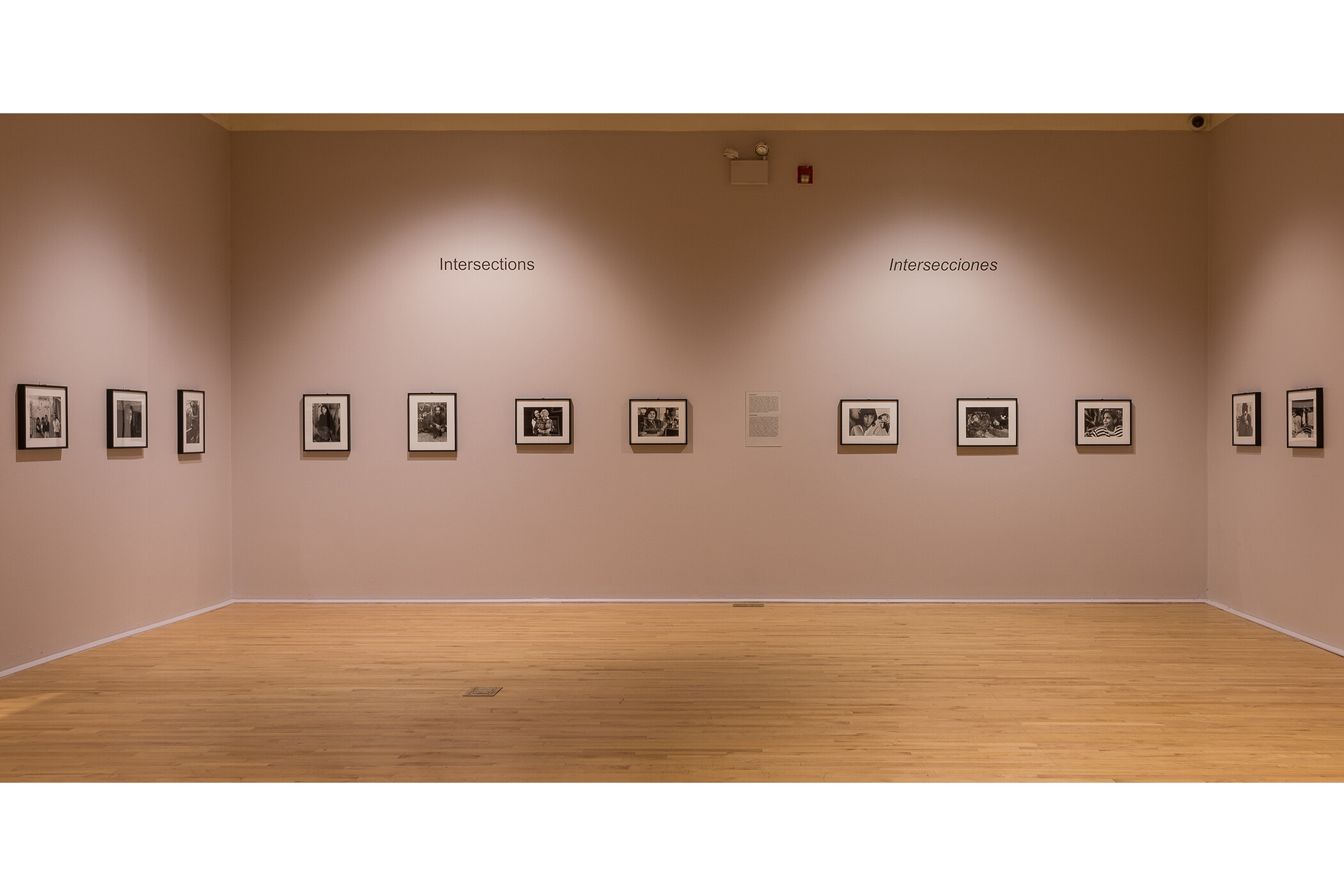 Photo of multiple gallery walls from “Intersecciones” section of gallery