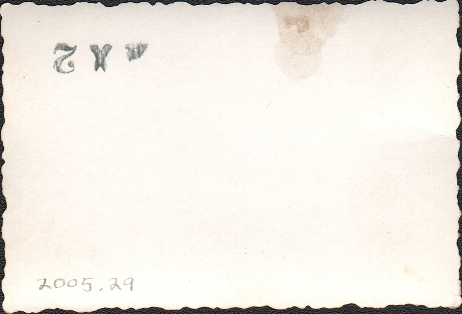 2005 29 Verso Web