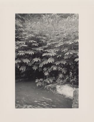 1996 27 Web