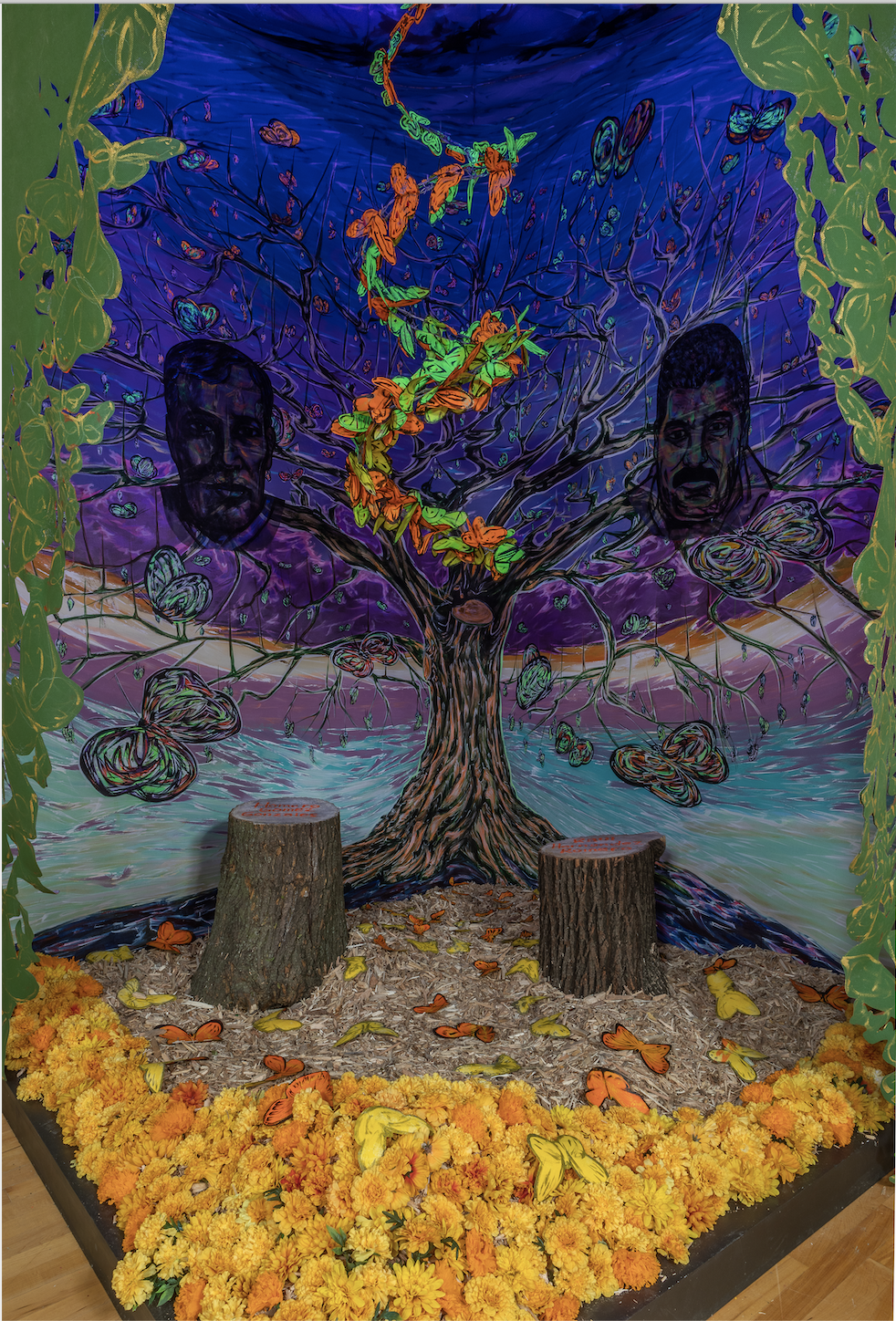 Hector Duarte Installation