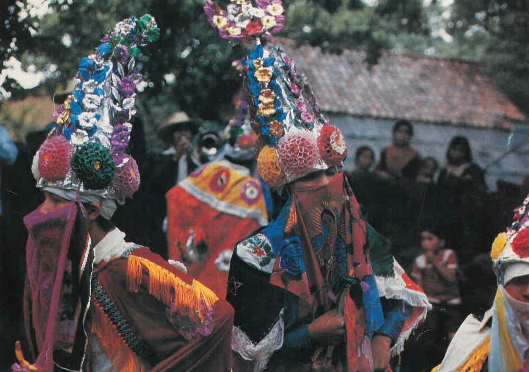 Michoacan Websiteimage1