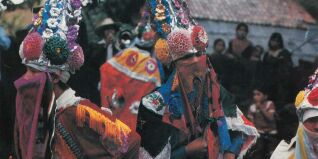 Michoacan Websiteimage1