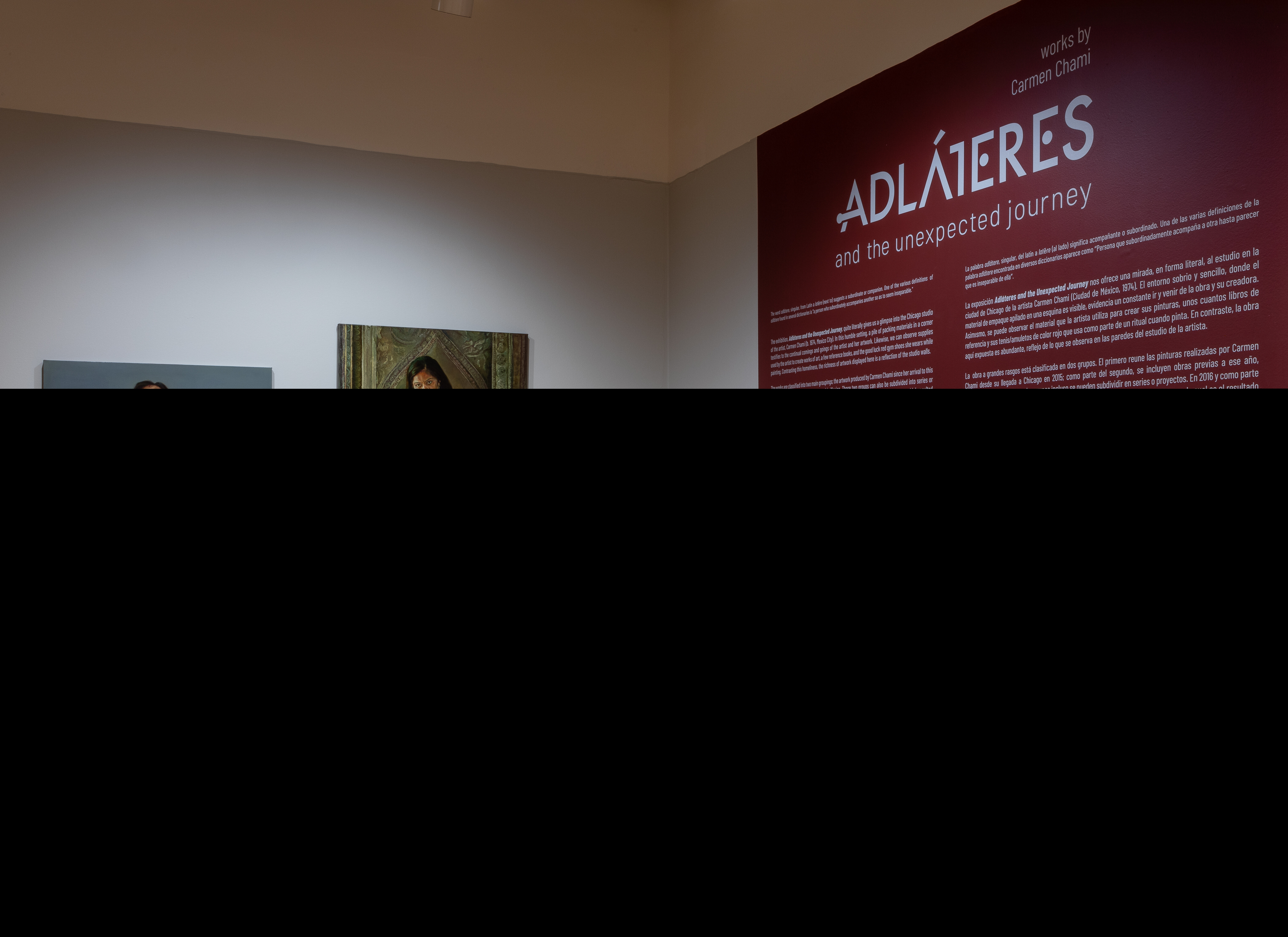 2 painting on gray wall with introduction text on wall to the left.