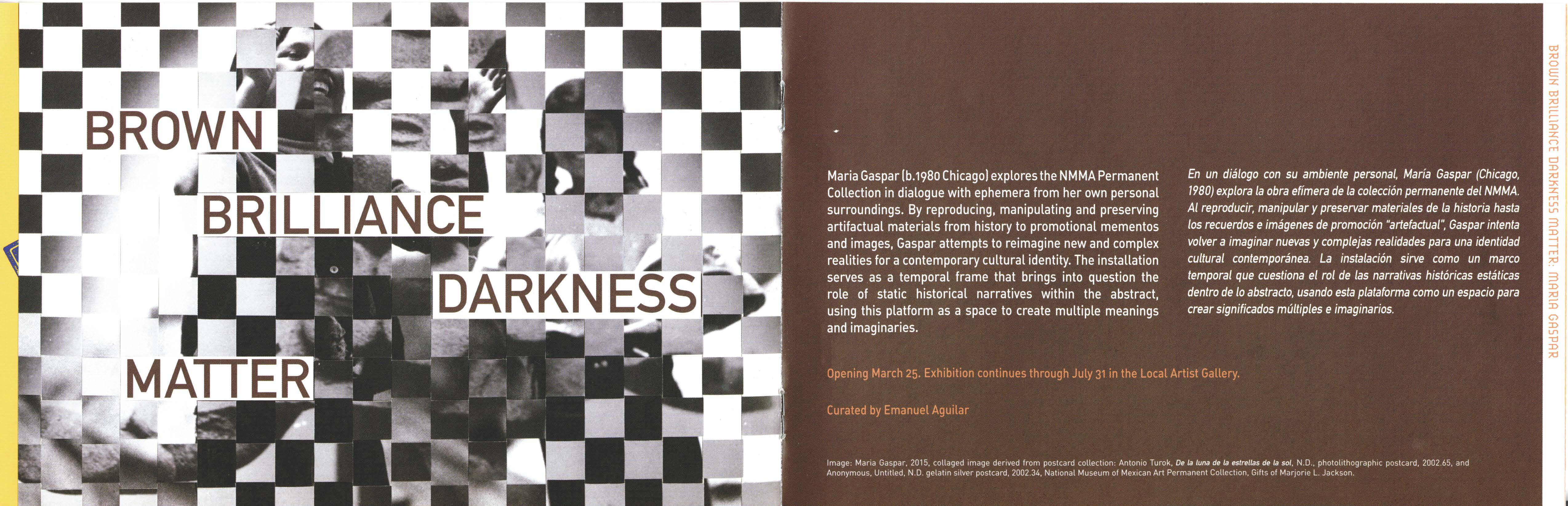 Brownbrilliandarknessmatter 2016