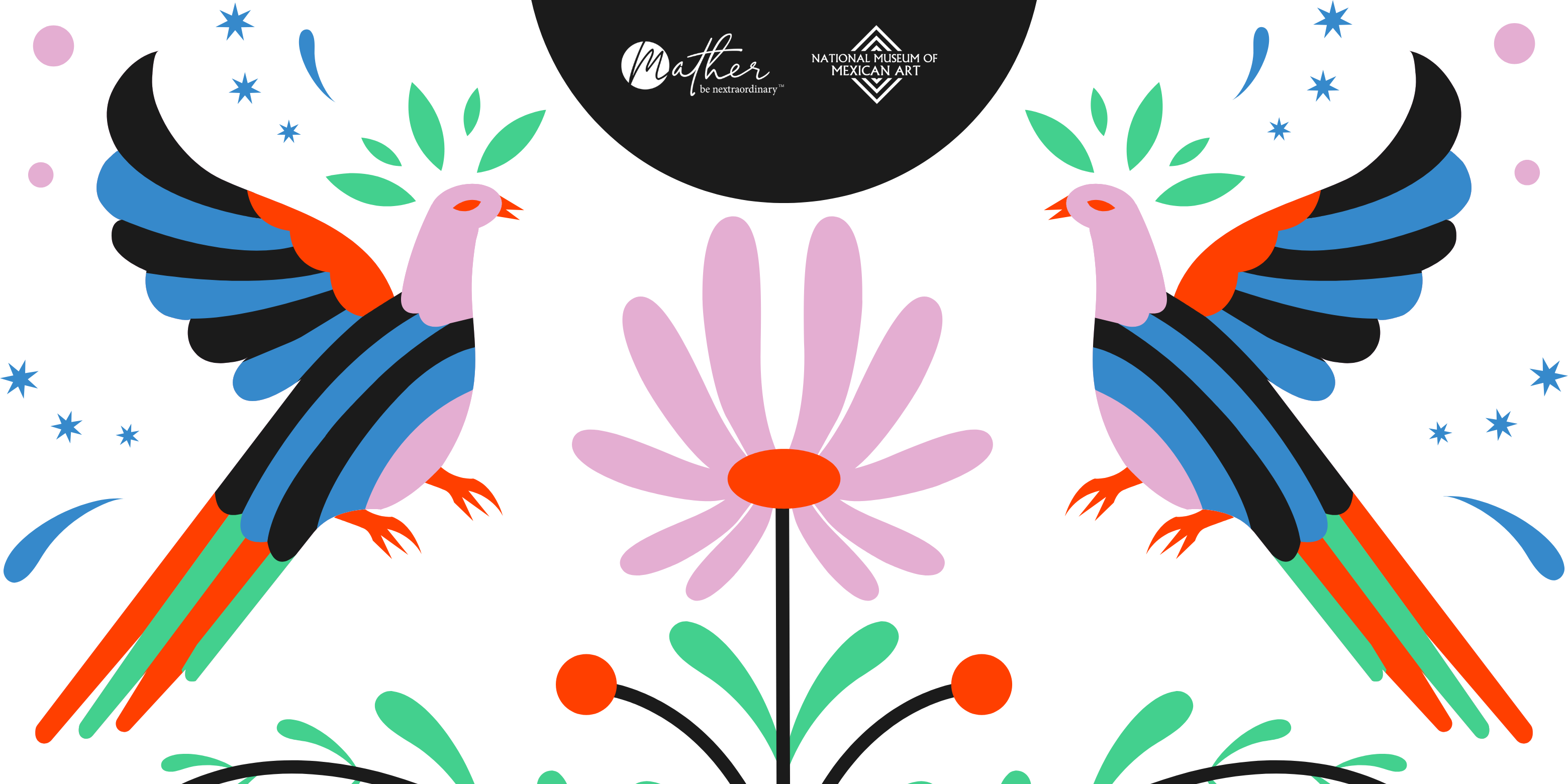 November Vlv Landing Page