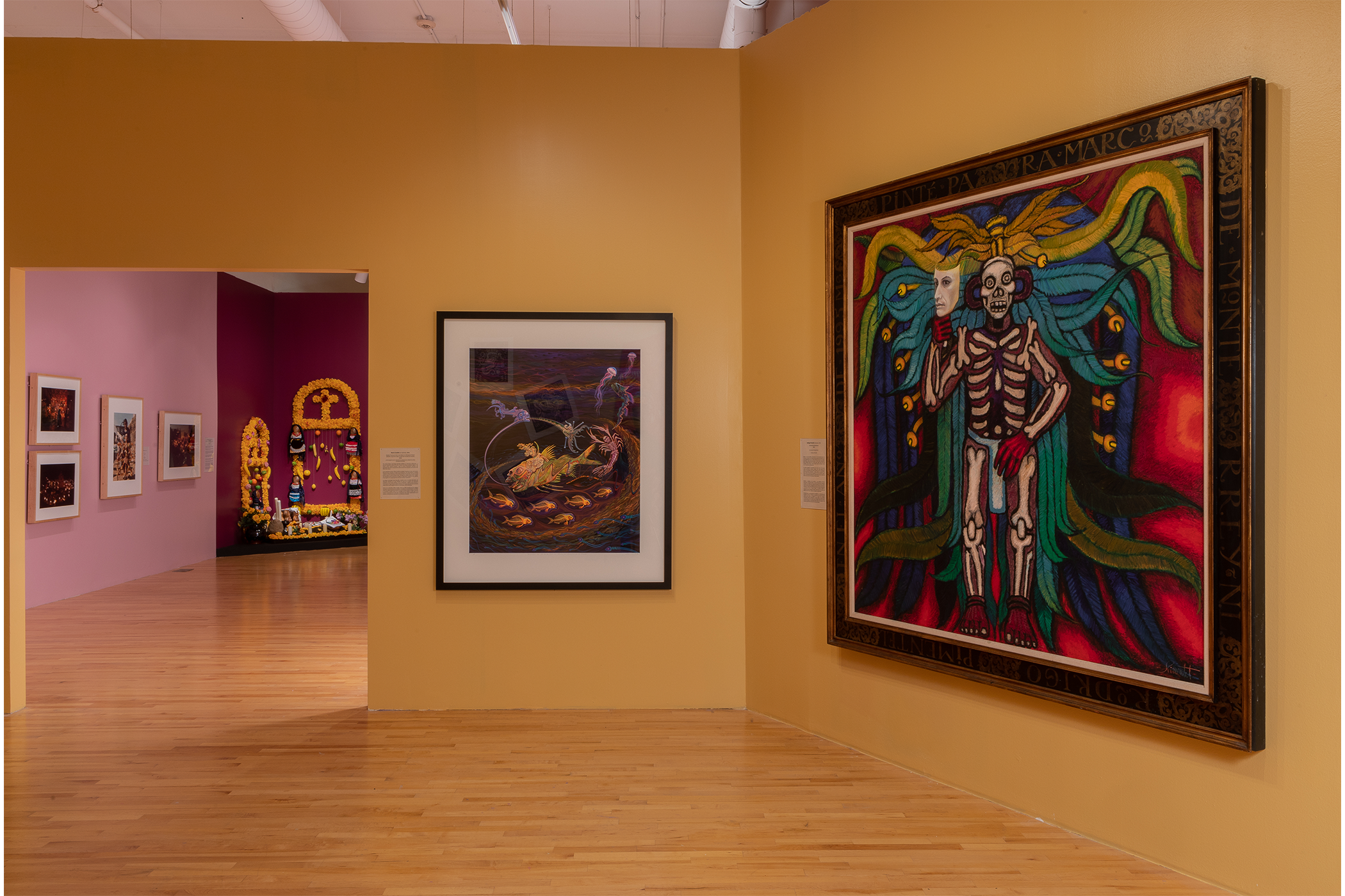 Two framed art pieces on a wall; one depicts fishlike creatures in water, the other: a skeleton figure with feathery floral behind it.