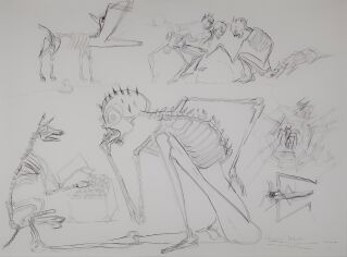 2007 16 Web