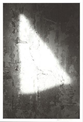 2022 203 Web