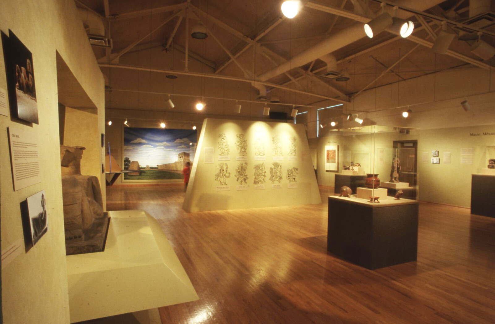 Visioncosmos 1992 Nmma Slides04