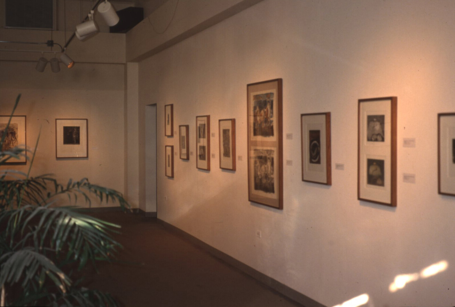 Francisco Toledo Exhibit, Gallery Shot