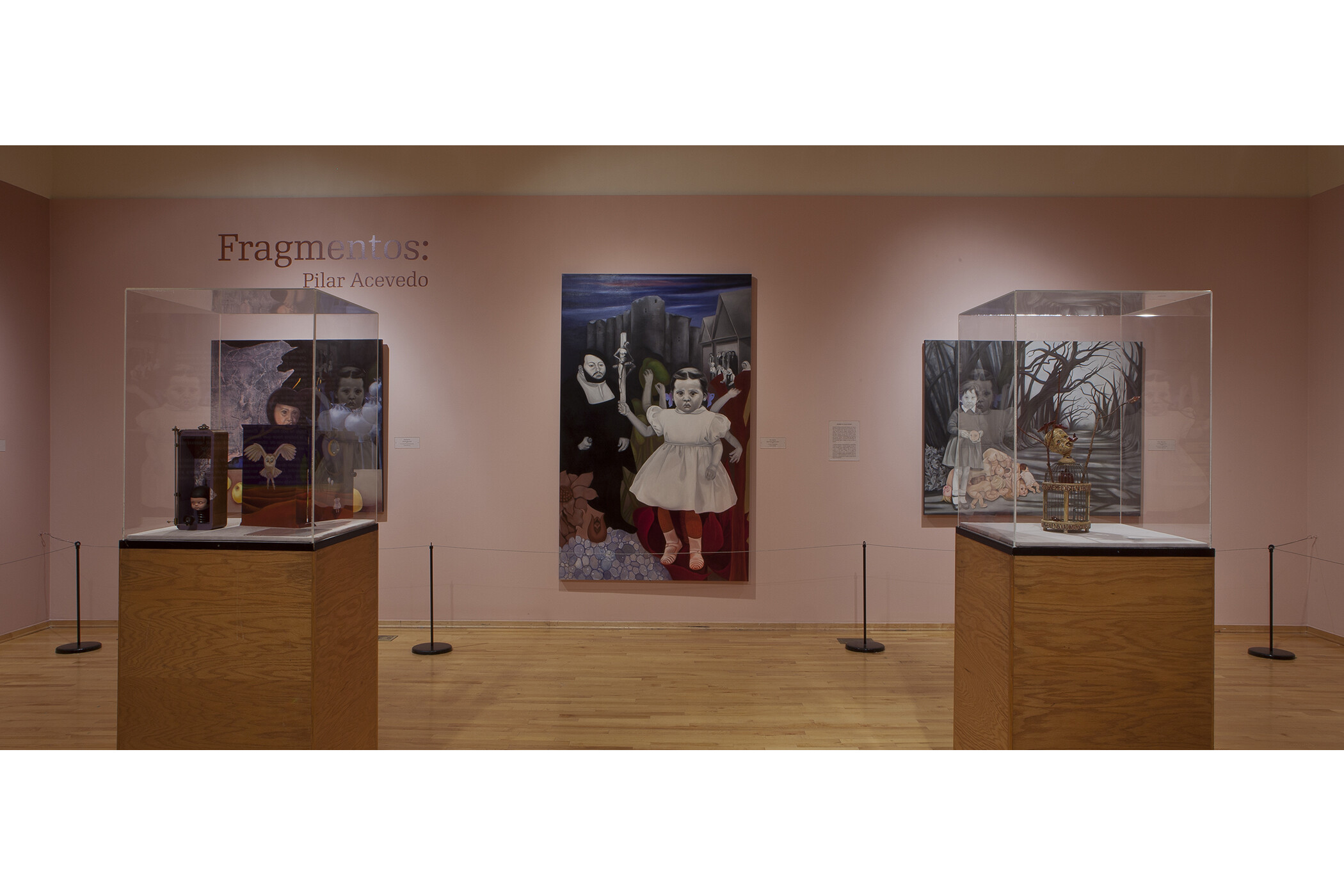 centering the gallery space: one painting in the center with two glass cases in the foreground.