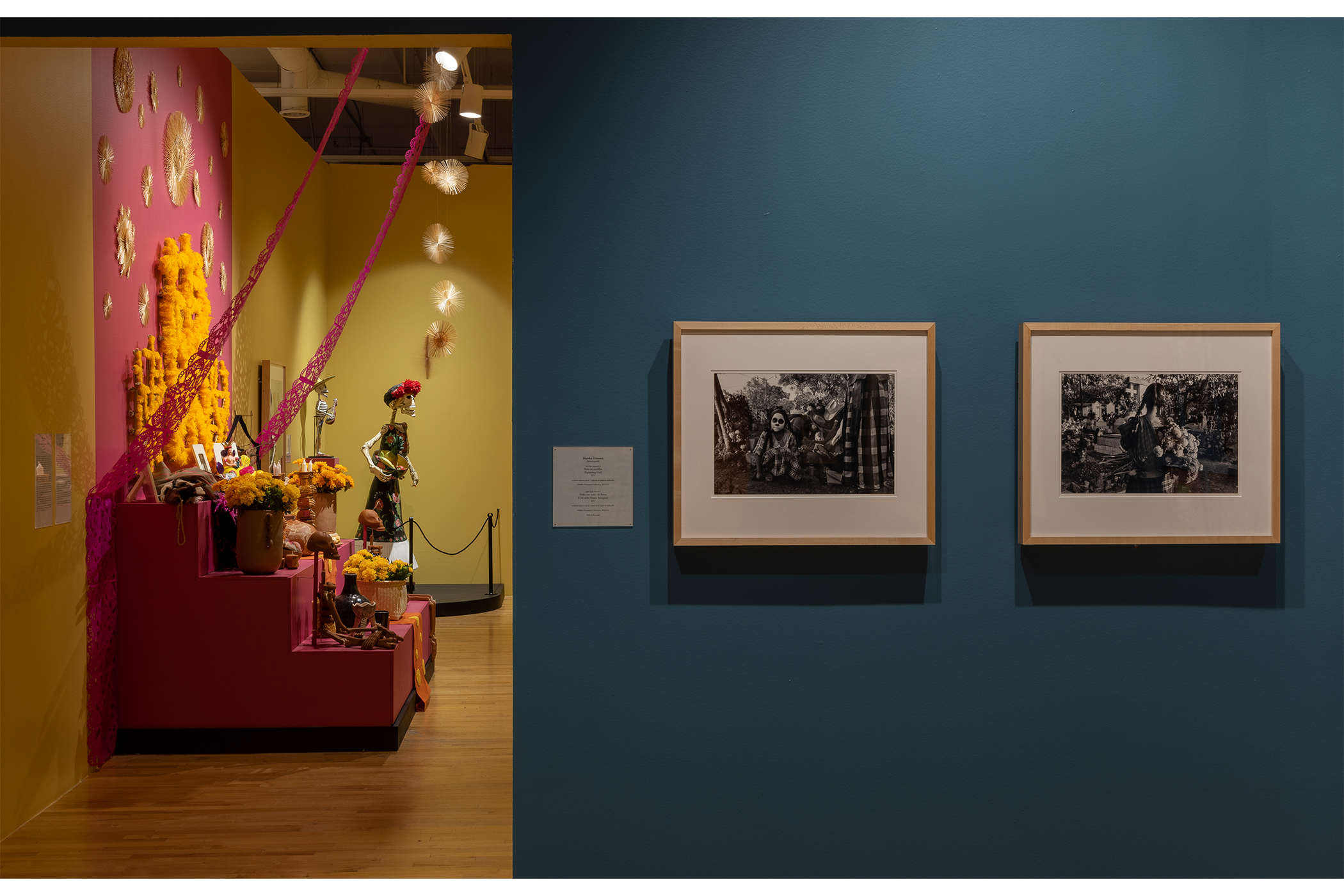 Two prints done by Martha Driessen hang on a blue wall.